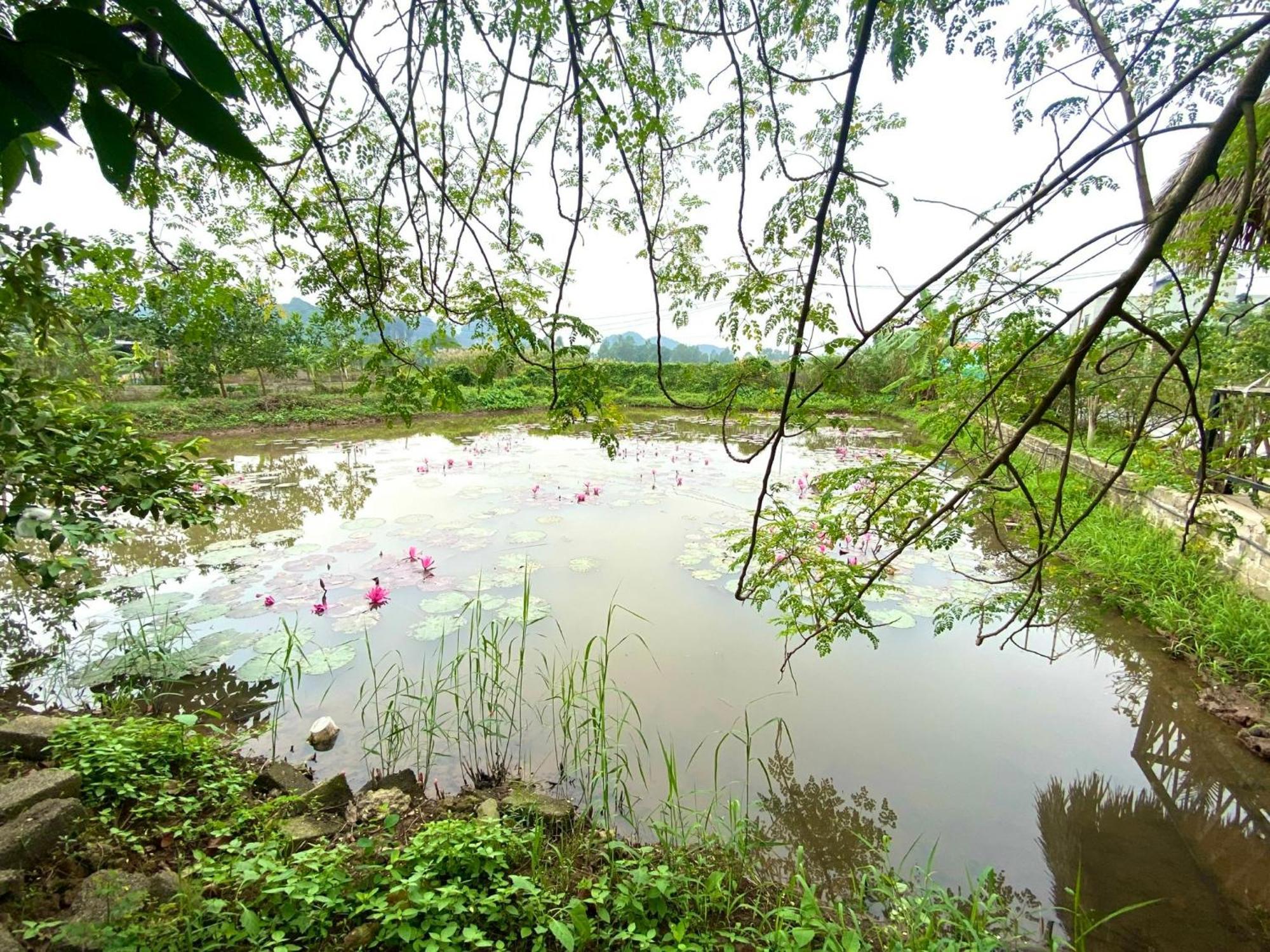 Отель Nan House - Tam Coc Ниньбинь Экстерьер фото